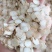 振兴药材购销1.8西洋参片规格齐全产地直供一手货源全国发货