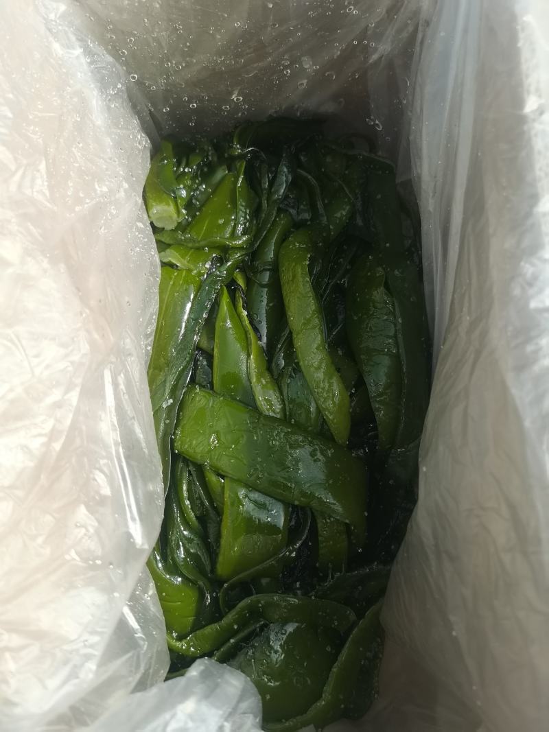 裙带菜