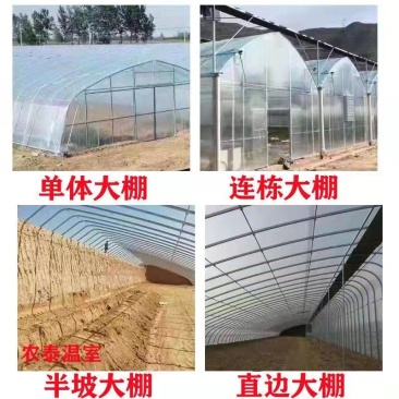 蔬菜种植棚西瓜插地棚连栋大棚种植棚草莓棚