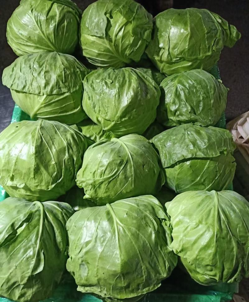 包菜甘蓝市场货电商货包菜圆包菜多多买菜美团