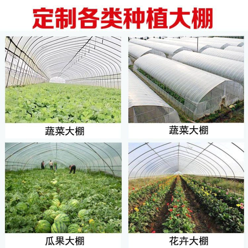 蔬菜种植棚西瓜插地棚连栋大棚种植棚草莓棚