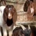 基地直销巴马香猪怀孕母猪香猪仔包教养殖技术包成活