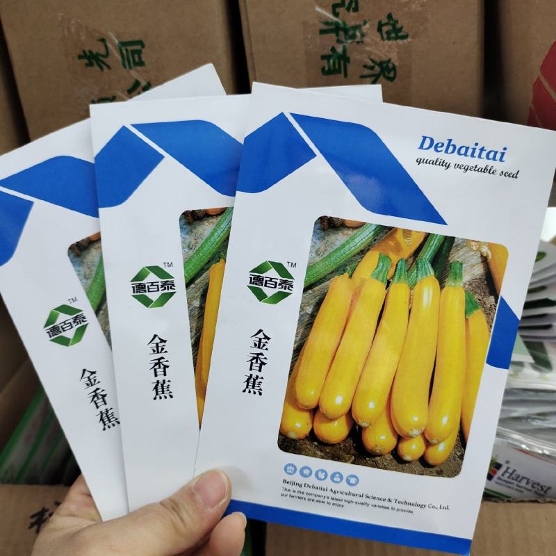 正品香蕉西葫芦种籽蔬菜种子四季播西葫种孑角瓜水果型生吃脆