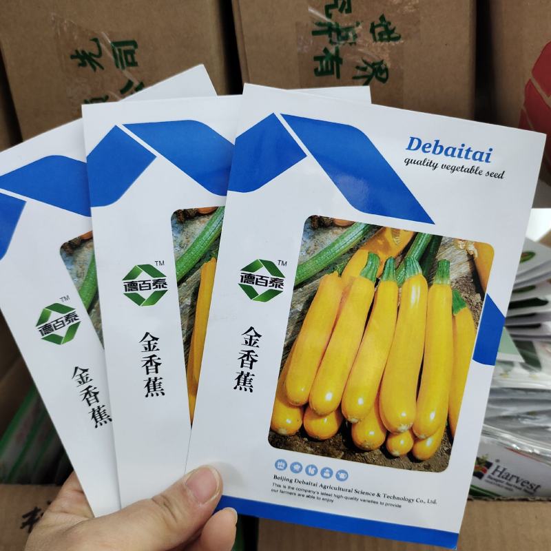 正品香蕉西葫芦种籽蔬菜种子四季播西葫种孑角瓜水果型生吃脆