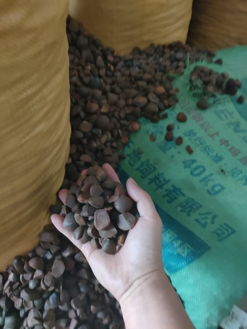 山茶油
