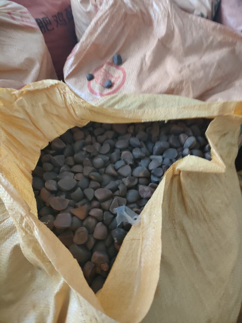 山茶油