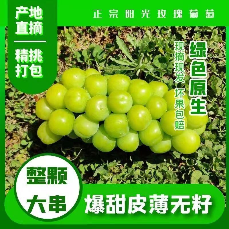 河南省【阳光玫瑰】晴王葡萄产地批发保证质量专业代办