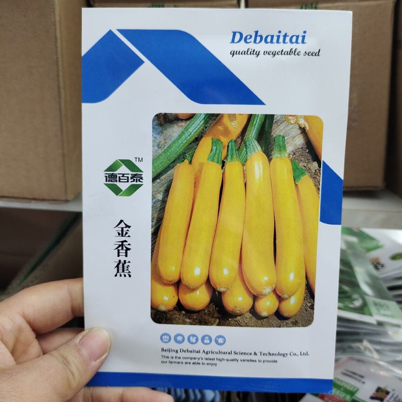 正品香蕉西葫芦种籽蔬菜种子四季播西葫种孑角瓜水果型生吃脆