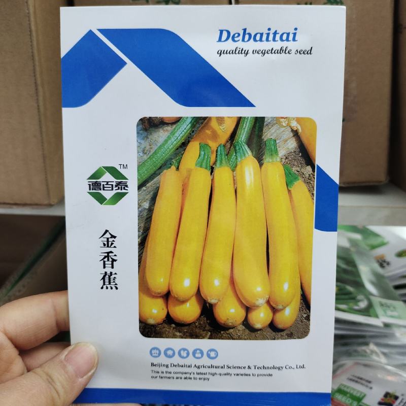 正品香蕉西葫芦种籽蔬菜种子四季播西葫种孑角瓜水果型生吃脆