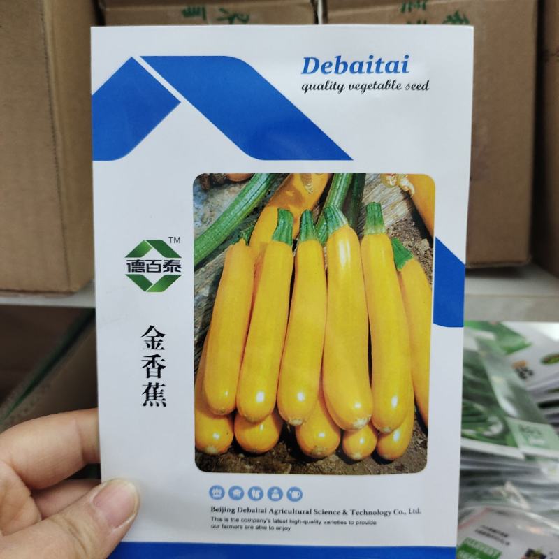 正品香蕉西葫芦种籽蔬菜种子四季播西葫种孑角瓜水果型生吃脆
