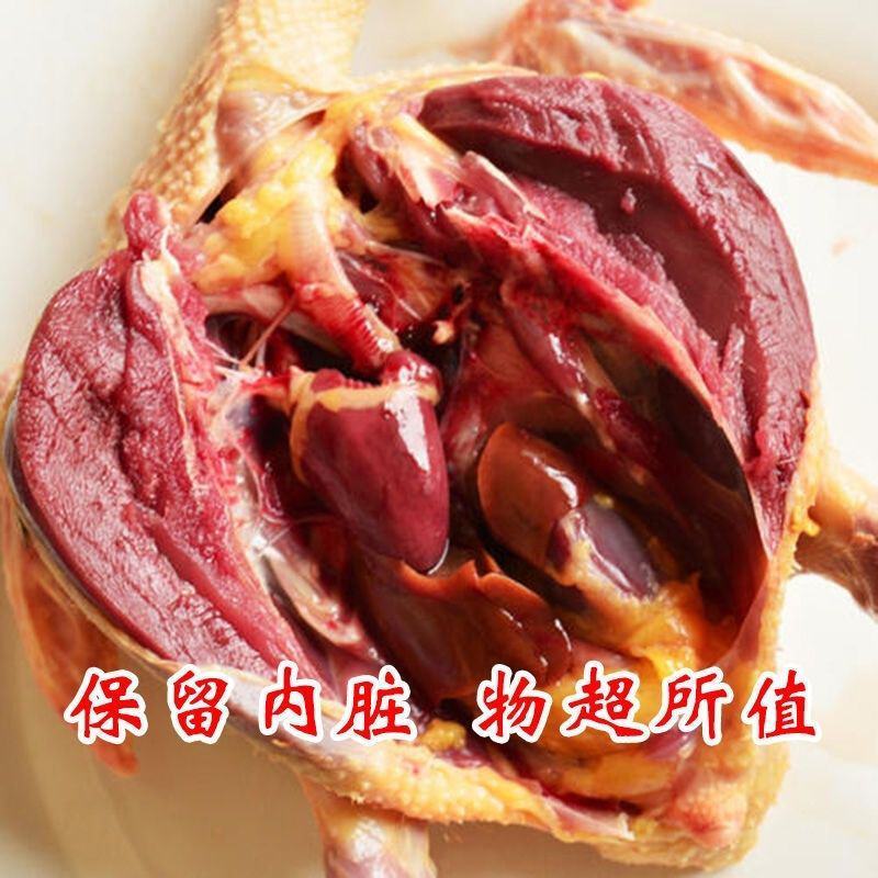 【顺丰包邮】新鲜现杀乳鸽白条鸽散养土鸽生鲜乳鸽一件发货鸽