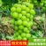 河南省【阳光玫瑰】晴王葡萄产地批发保证质量专业代办
