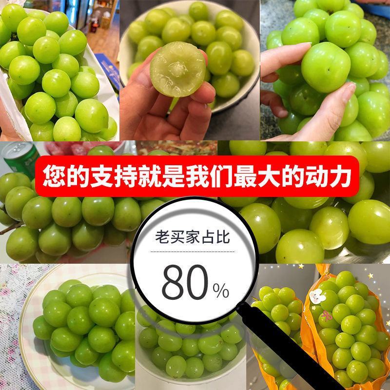 河南省【阳光玫瑰】晴王葡萄产地批发保证质量专业代办