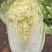 山东黄心大白菜质量杠杠，价钱合适，合作共赢