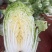 山东黄心大白菜质量杠杠，价钱合适，合作共赢
