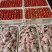 马家岗九九草莓质量好货源充足，欢迎大家前来选购