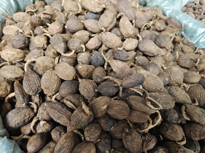 云南草果批发大颗粒草香料草果粉炖肉火锅调料5斤起批