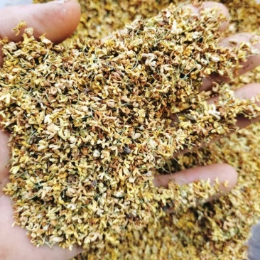 干桂花，桂花茶、桂花干无熏硫，，香味浓郁，可视频看货