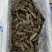 即食海参，水发海参，质量好，多刺海参。图片即事物。