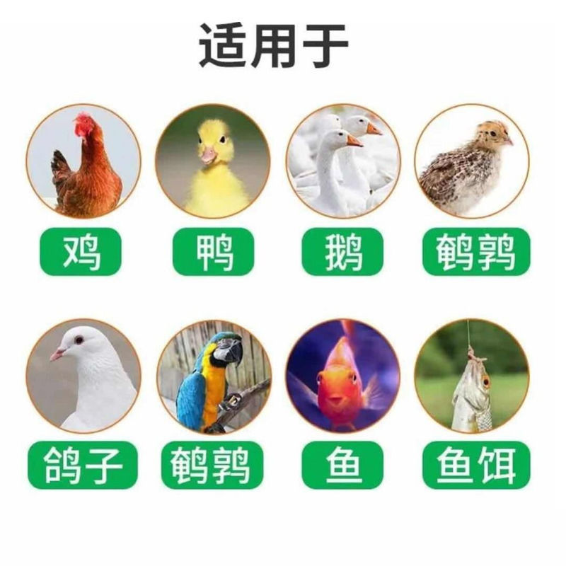 厂家直销80斤鸡饲料小鸡开口育肥母鸡下蛋全价喂鸡颗粒全价