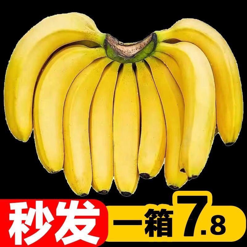 普通大香蕉广西口感好实惠皮薄老少皆宜可批可代发八分熟