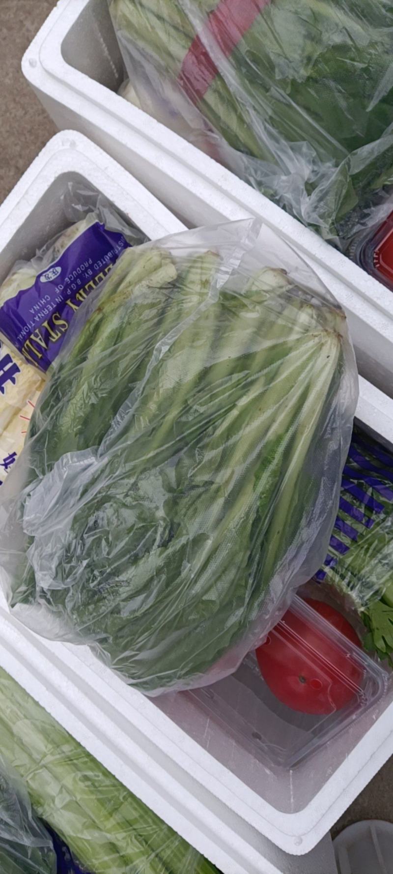 套菜多种蔬菜组合寿光套菜礼盒疫区用多种节日蔬菜礼包