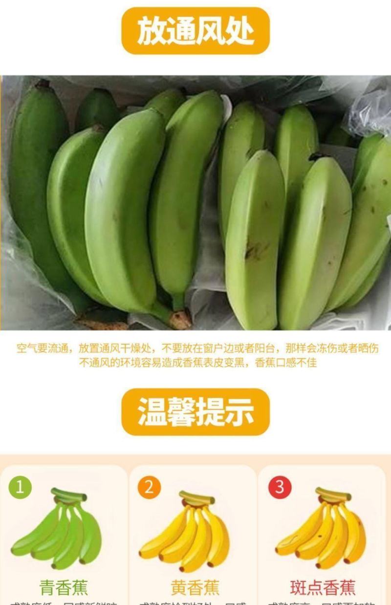 普通大香蕉广西口感好实惠皮薄老少皆宜可批可代发八分熟
