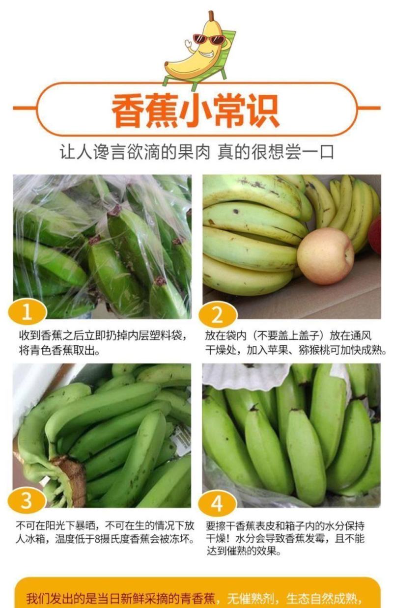 普通大香蕉广西口感好实惠皮薄老少皆宜可批可代发八分熟