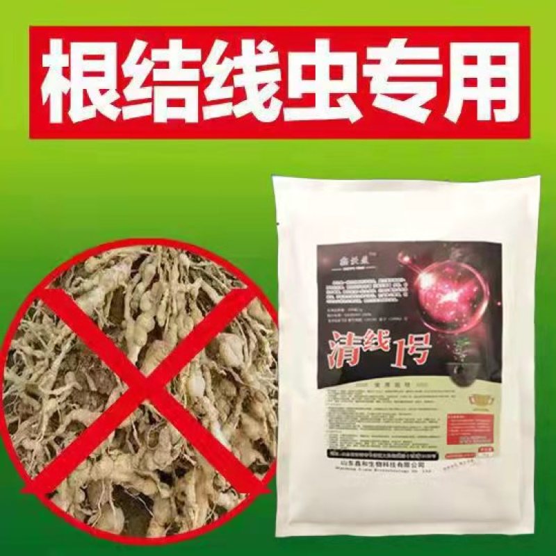 淡紫拟青霉+侧孢+厚孢轮枝菌药根结线虫根线虫虫卵双杀线虫