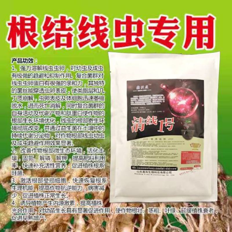淡紫拟青霉+侧孢+厚孢轮枝菌药根结线虫根线虫虫卵双杀线虫