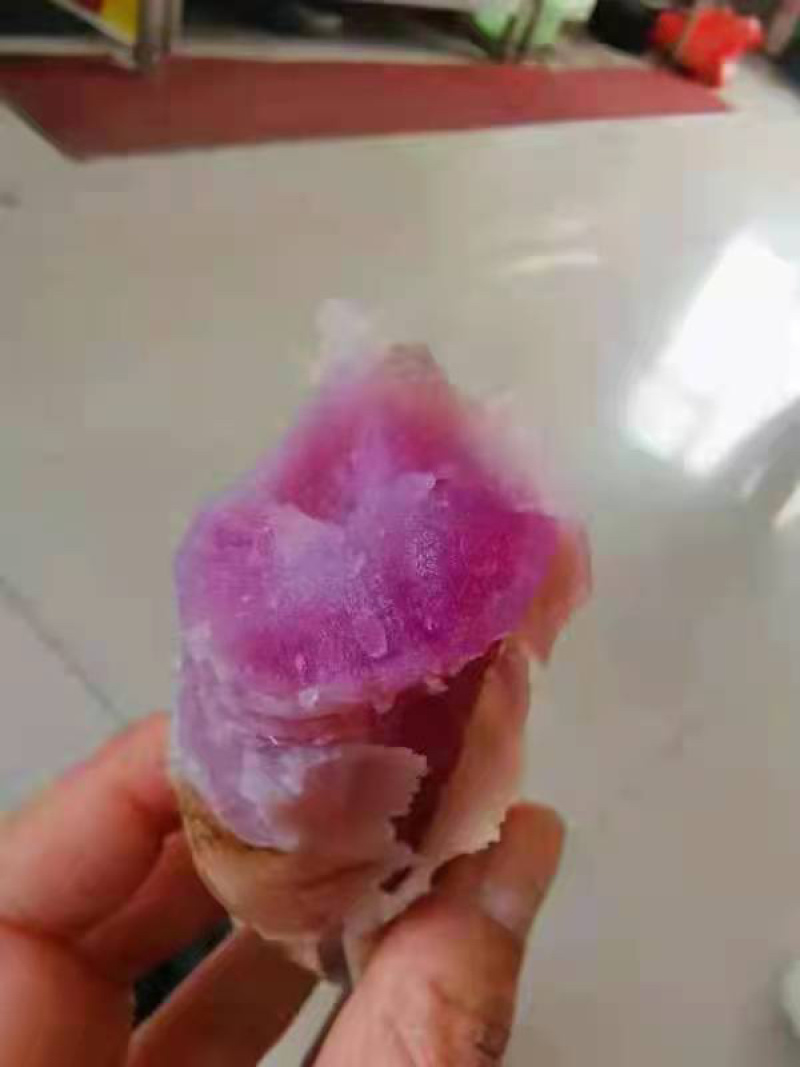 龙薯9苗，本基地，主营烟薯，西瓜红，商薯，龙薯9，脱毒苗