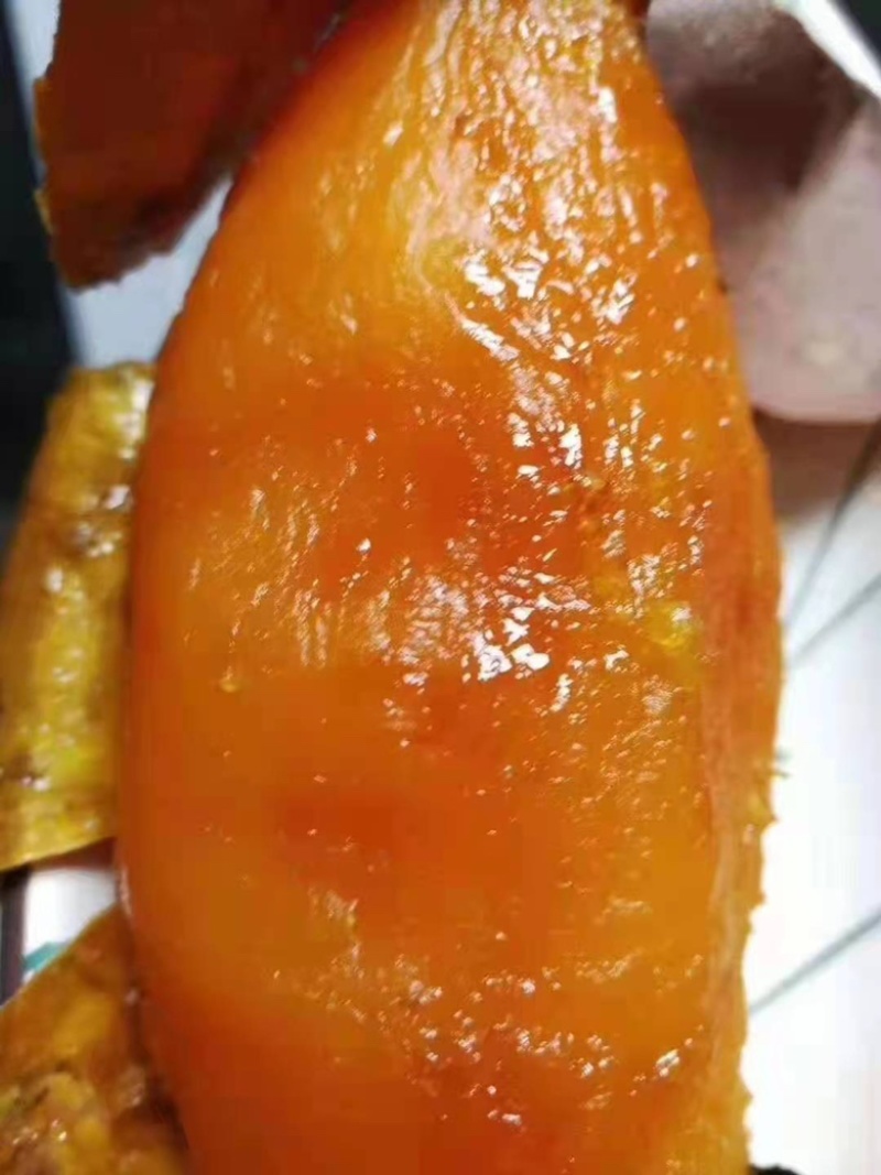 龙薯9苗，本基地，主营烟薯，西瓜红，商薯，龙薯9，脱毒苗