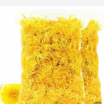 金丝皇菊