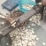 白粉藤原产地批发，干货鲜货一应俱全。大货请预定