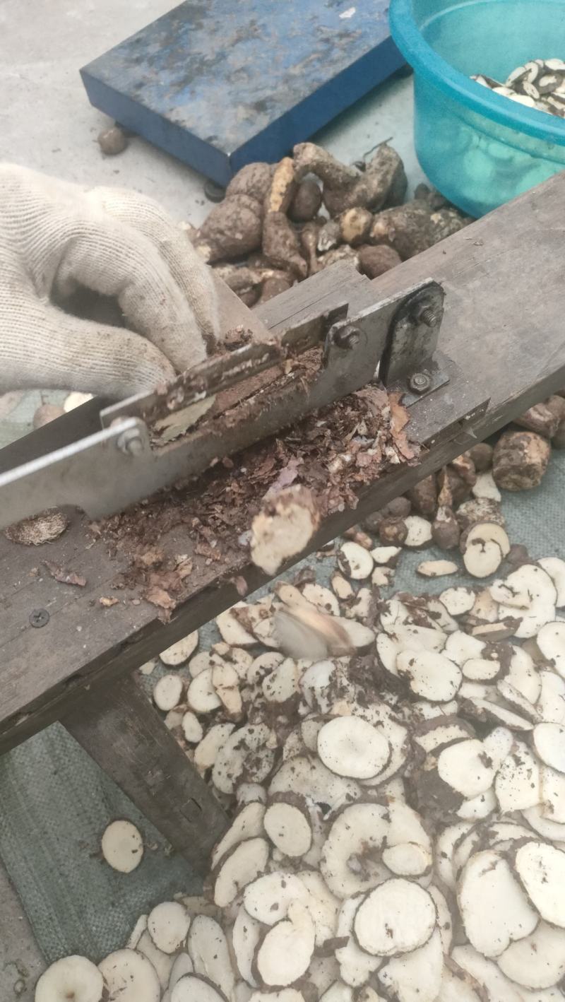 白粉藤原产地批发，干货鲜货一应俱全。大货请预定
