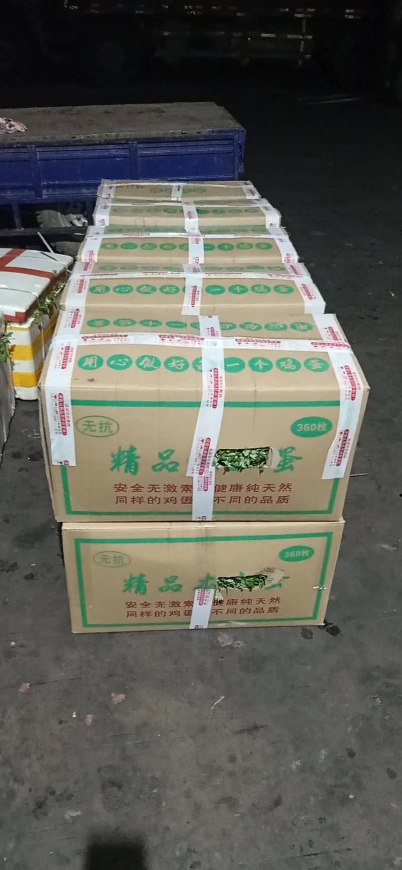新鲜艾草叶，**食用，做青团，艾糍，艾板，火锅等