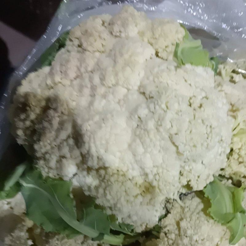 有机花菜大量供应有意者呼