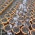 红须朱砂盆栽梅花1000株欢迎选购量大优惠