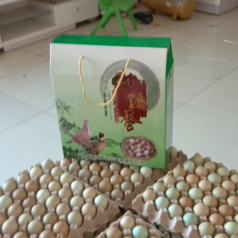 【精品】新鲜野鸡蛋营养丰富建康美味保证质量破损保赔