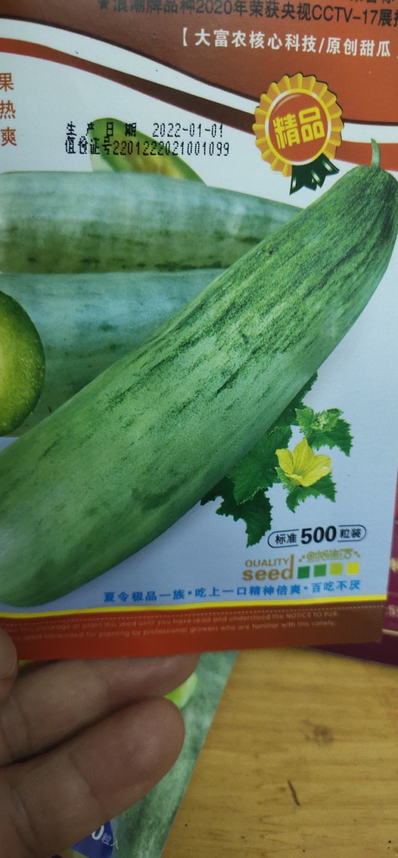 甜瓜种子大羊角蜜早生大果，详细介绍请看包装说明谢谢