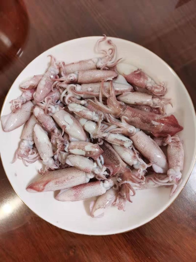 一口管，小海兔，小鱿鱼，小件试样10盒包邮量大可谈