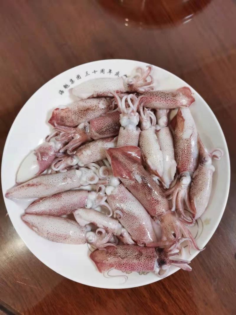 一口管，小海兔，小鱿鱼，小件试样10盒包邮量大可谈