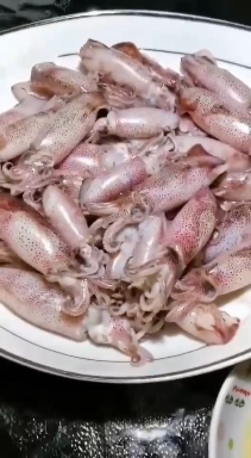 一口管，小海兔，小鱿鱼，小件试样10盒包邮量大可谈
