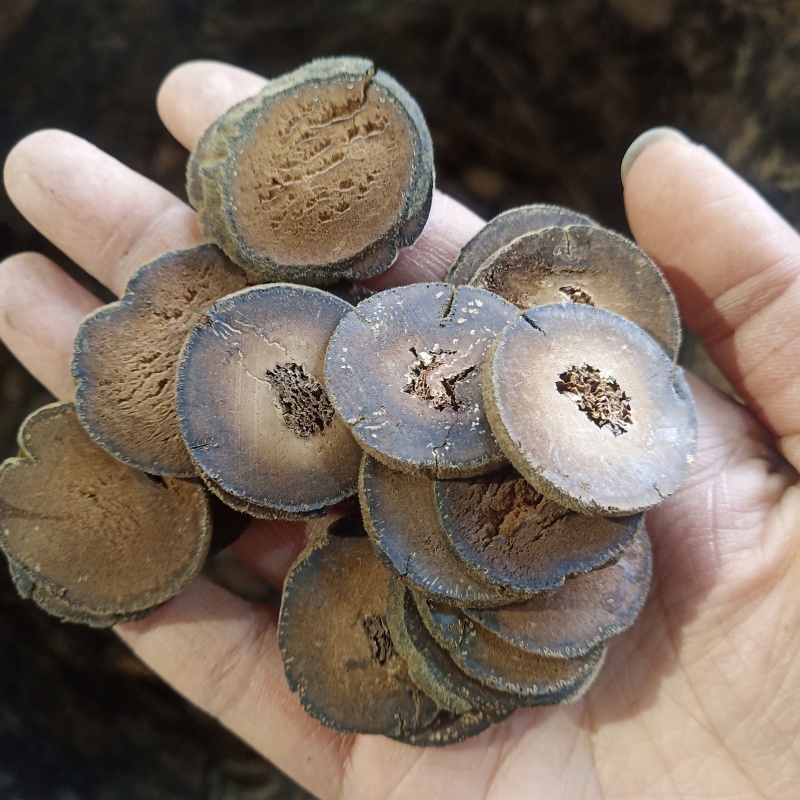 批发.化橘红片500克泡水桔红果带毛橘红茶化州橘红切片