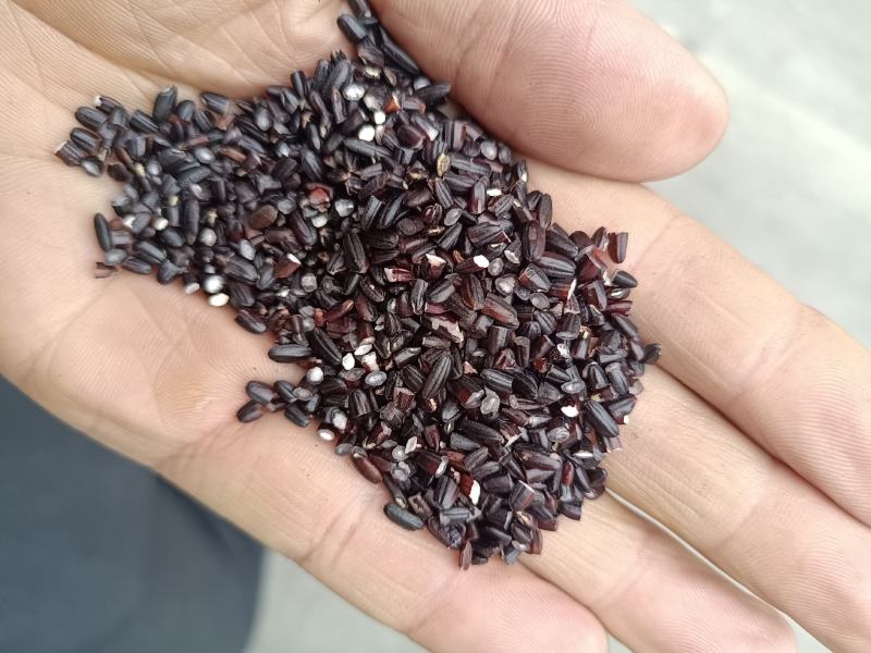 精选，黑米碎米！黑米色选粒！量大从优！所有商品不包邮！