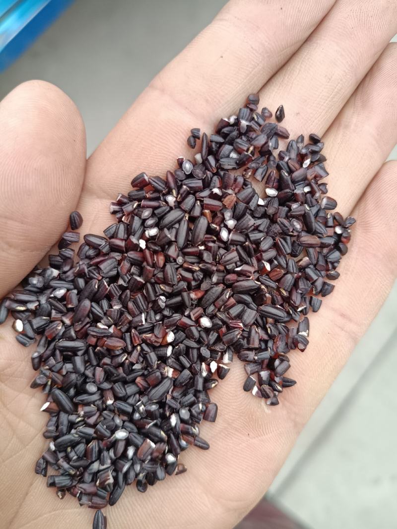 精选，黑米碎米！黑米色选粒！量大从优！所有商品不包邮！