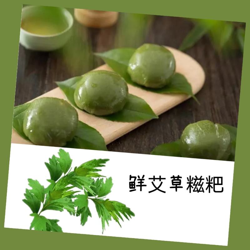 艾草种苗量大从优艾草盆栽现采现发小叶艾蕲艾大叶艾