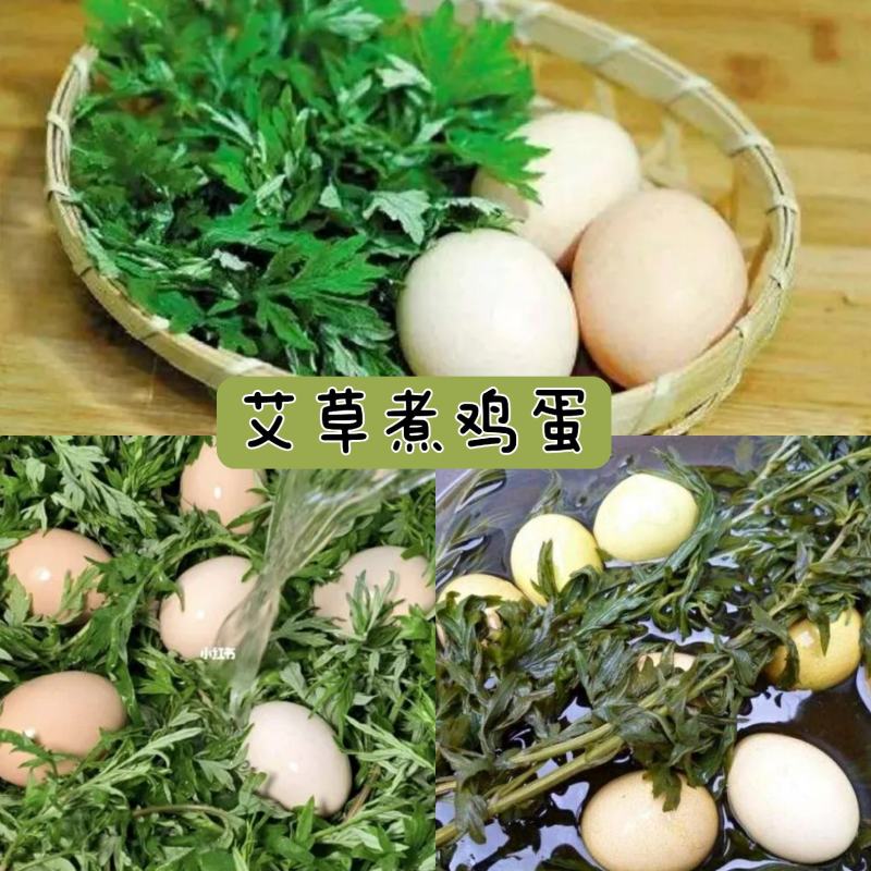 艾草种苗量大从优艾草盆栽现采现发小叶艾蕲艾大叶艾