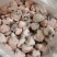 原油羊腰子，纯原油烧烤食材烧烤一级食材品质好
