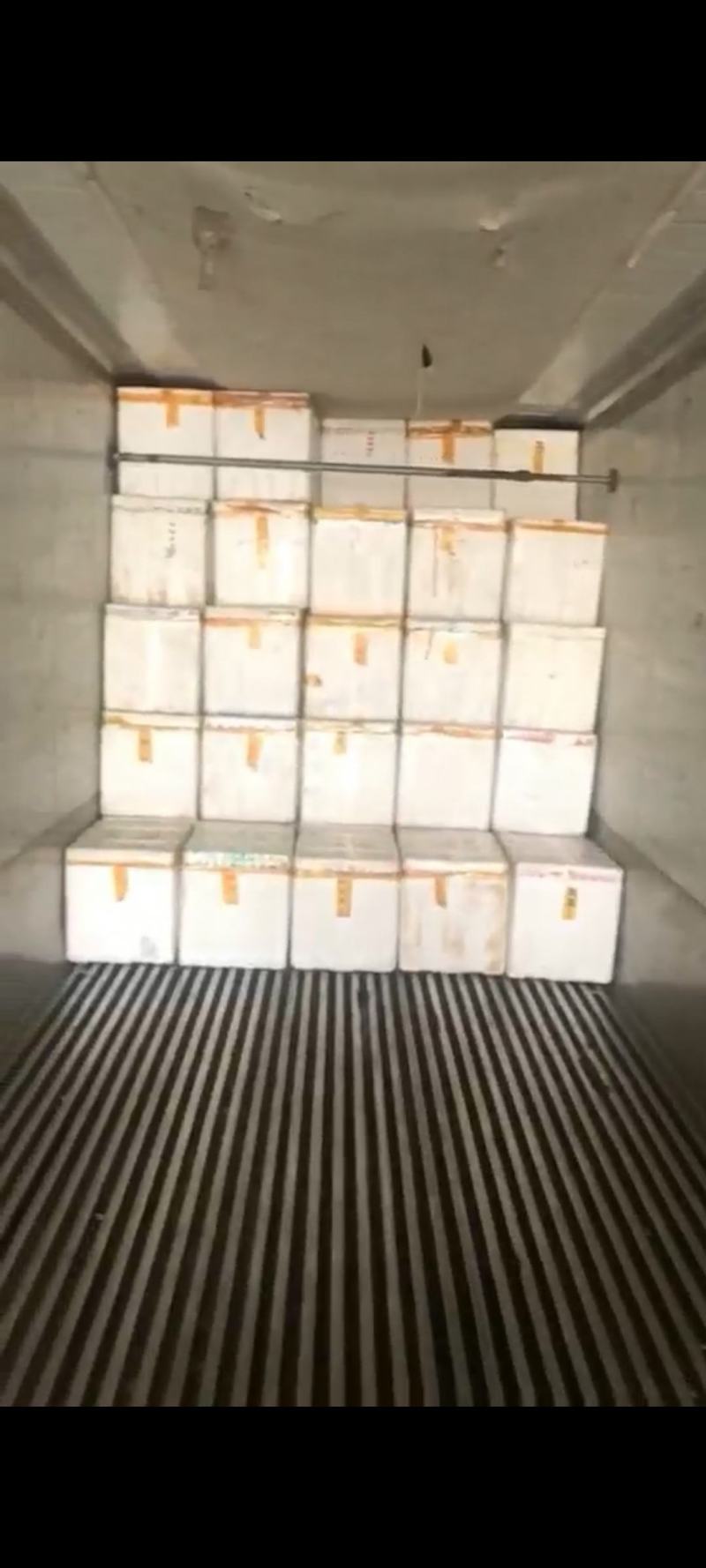 原油羊腰子，纯原油烧烤食材烧烤一级食材品质好